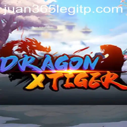 Exploring DragonXTiger: A Comprehensive Guide