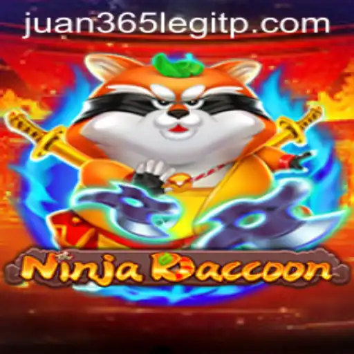 NinjaRaccoon Game Exploration