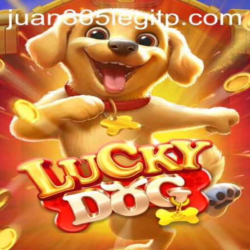 Exploring the Thrilling World of LuckyDog: A Comprehensive Guide