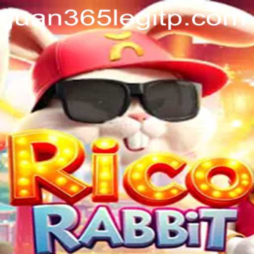 Exploring RicoRabbit: A New Interactive Experience